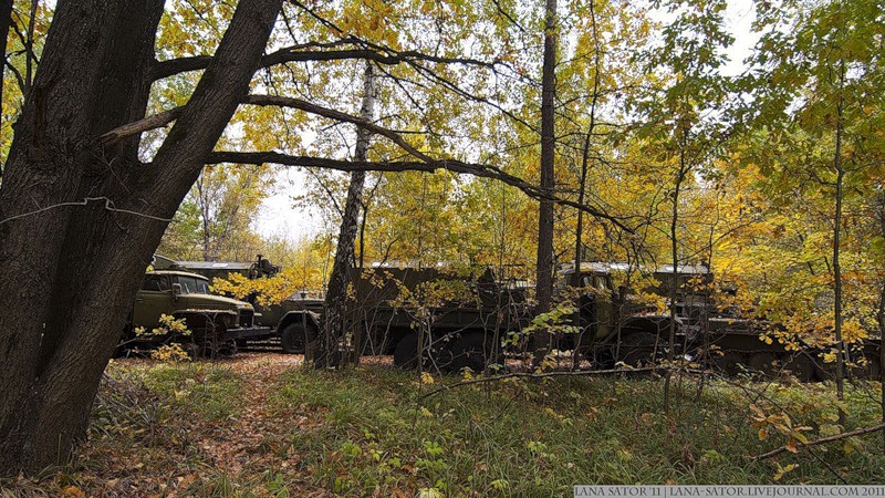 Военные машины в лесу