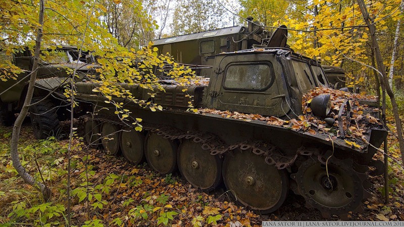 Военные машины в лесу