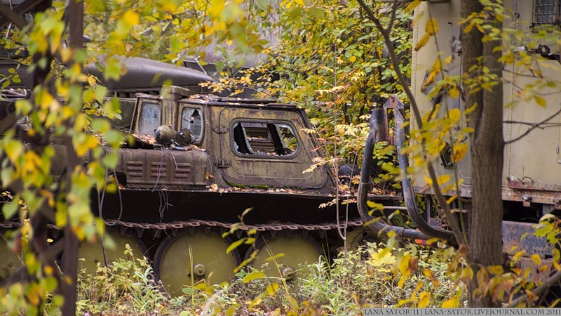 Военные машины в лесу