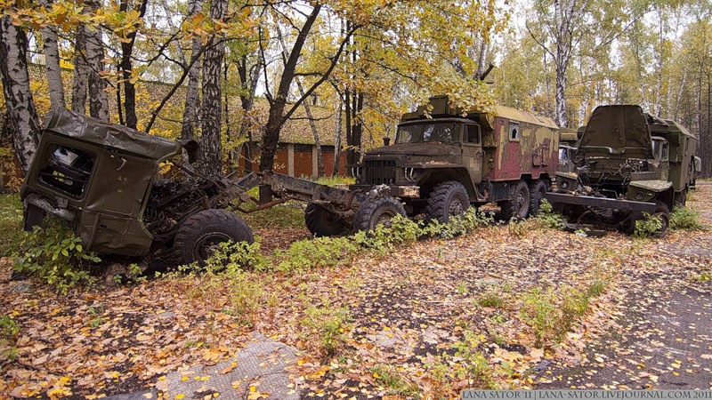 Военные машины в лесу