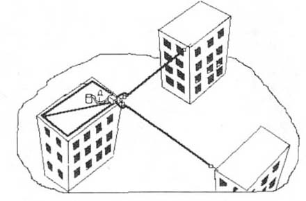 ant160.jpg