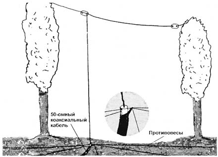 pic3.jpg